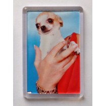 CALAMITA PLEXI PER FOTO 4,5X7 CM PFPKN205