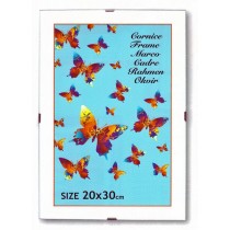 CORNICE A GIORNO IN VETRO 25X35 6 pz PFR2535