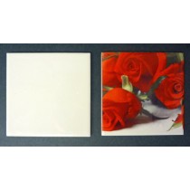MATTONELLA 10,8X10,8 IN CERAMICA SUBLIMATICA VA0945U