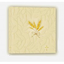 ALBUM 24X24 COMUNIONE 20FG ALCMA242420