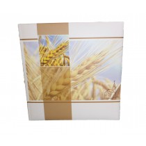 ALBUM 24X24 COMUNIONE 12FG  ALMM242412