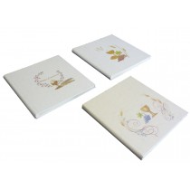 ALBUM 24X24 COMUNIONE CARTONATI 15F ALCOM38
