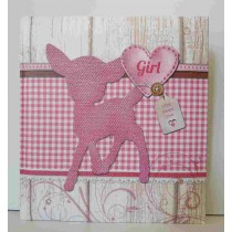 ALBUM  28X30.5 25FG nascita ROSA ALUK140R