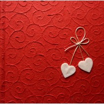 ALBUM 33X33 CARTA DI GELSO 40FG ALD20-1