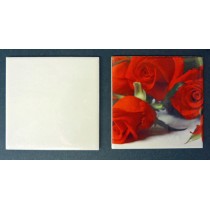 MATTONELLA 15.2X15.2 IN CERAMICA SUBLIMATICA VA0946U