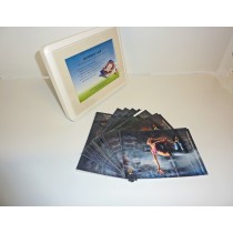 CORNICE 10X15 CONTENITORE SHOWBOX OCC11