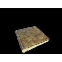 ALBUM 36X36 IN PELLE DORATA INVECCHIATA 60FG OCC4