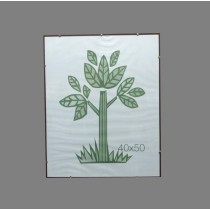CORNICE A GIORNO CON BORDO IN LEGNO  40X50 2PZ PFRX4050L