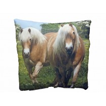 CUSCINO FULL PHOTO 40X40 CAVALLI VA100G-2